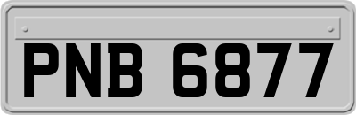 PNB6877