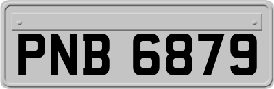 PNB6879