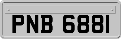 PNB6881