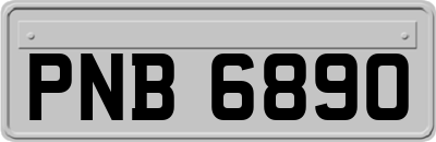 PNB6890