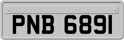 PNB6891