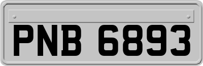 PNB6893