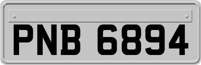 PNB6894