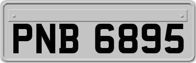 PNB6895