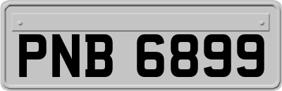 PNB6899