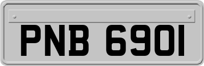 PNB6901