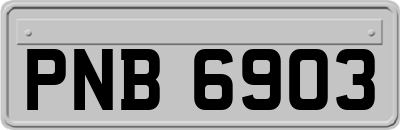 PNB6903