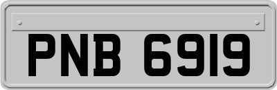 PNB6919