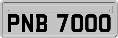 PNB7000