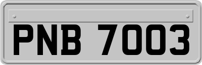 PNB7003