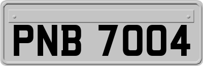 PNB7004