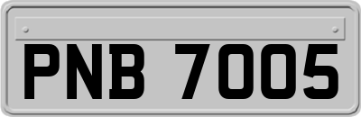 PNB7005
