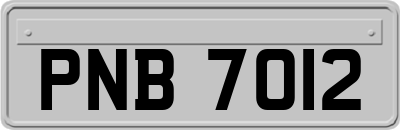 PNB7012
