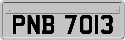 PNB7013