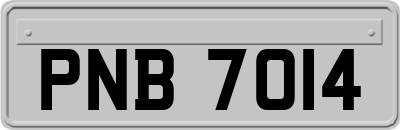 PNB7014