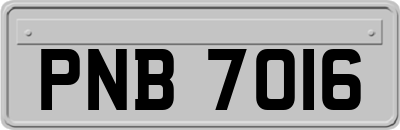 PNB7016