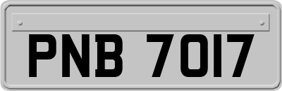 PNB7017