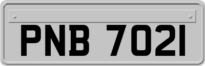 PNB7021