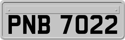 PNB7022