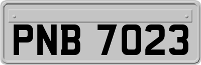 PNB7023
