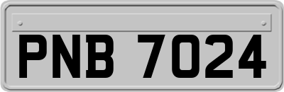 PNB7024