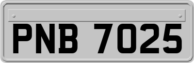 PNB7025