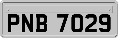 PNB7029