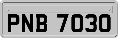 PNB7030