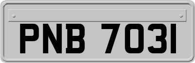 PNB7031