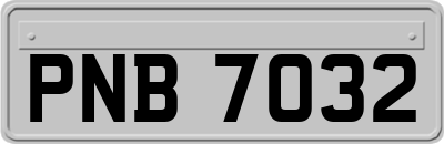 PNB7032