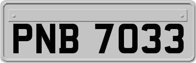 PNB7033