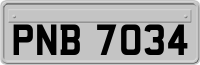 PNB7034