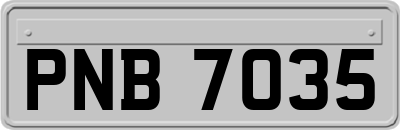 PNB7035