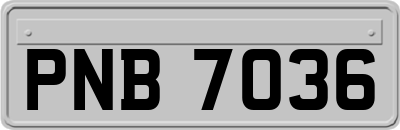 PNB7036