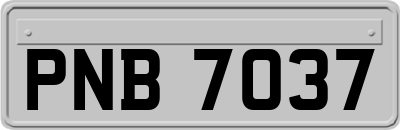 PNB7037