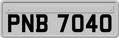 PNB7040