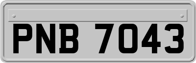 PNB7043