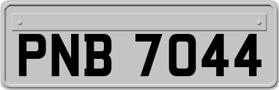 PNB7044
