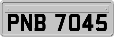 PNB7045