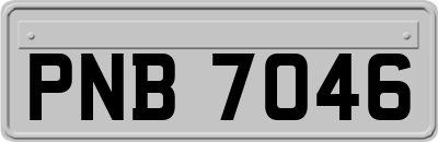 PNB7046