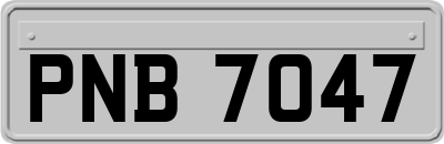 PNB7047