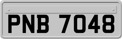 PNB7048