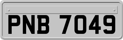 PNB7049