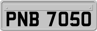 PNB7050