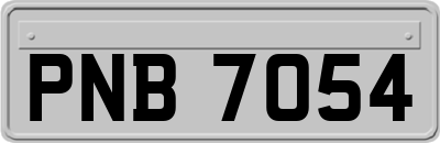 PNB7054