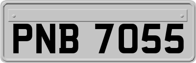 PNB7055