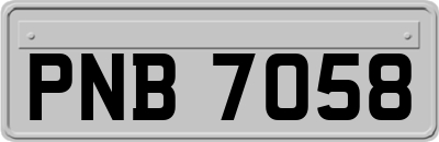 PNB7058
