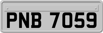 PNB7059
