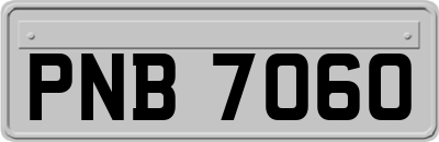 PNB7060