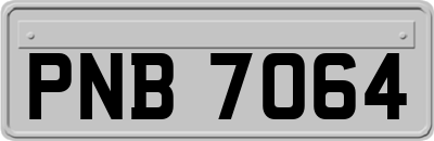 PNB7064